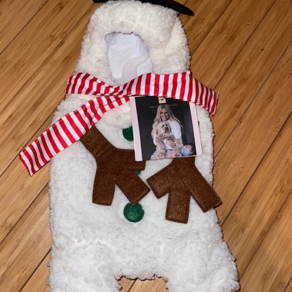 Jessica Simpson Snowman Outfit For Dogs